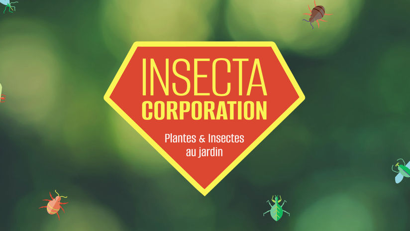 Jardin Botanique de Bordeaux